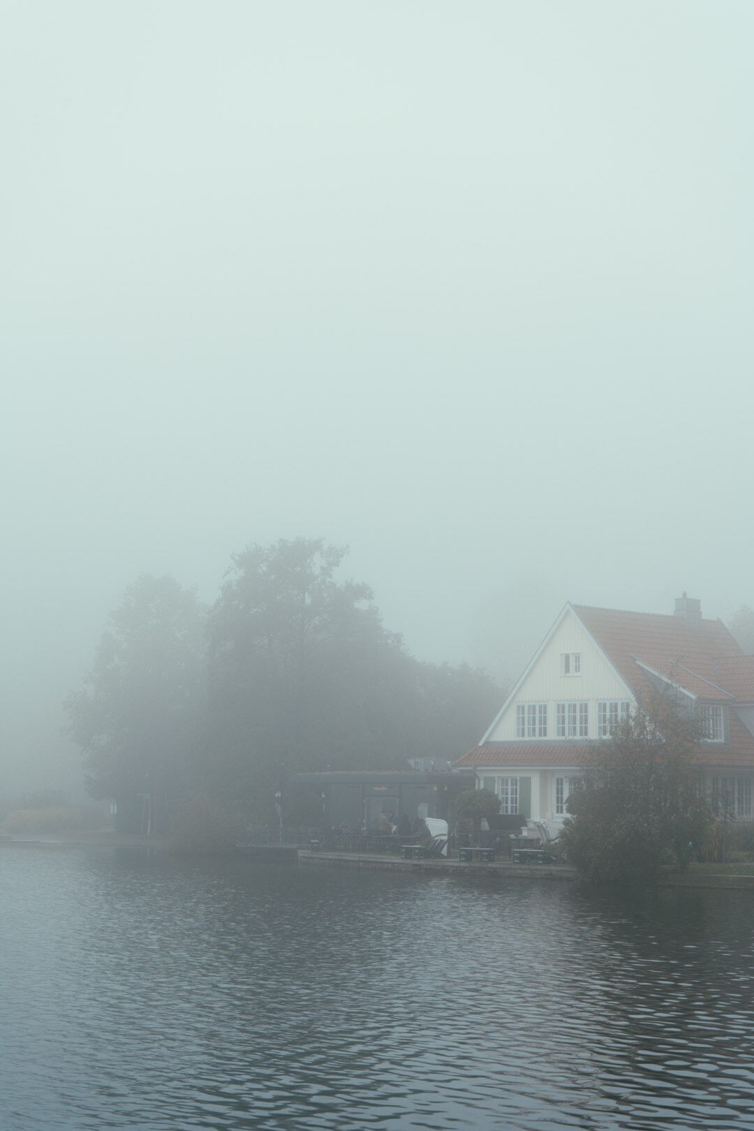 Book cover illustration of an old house by a lake shrouded in mist